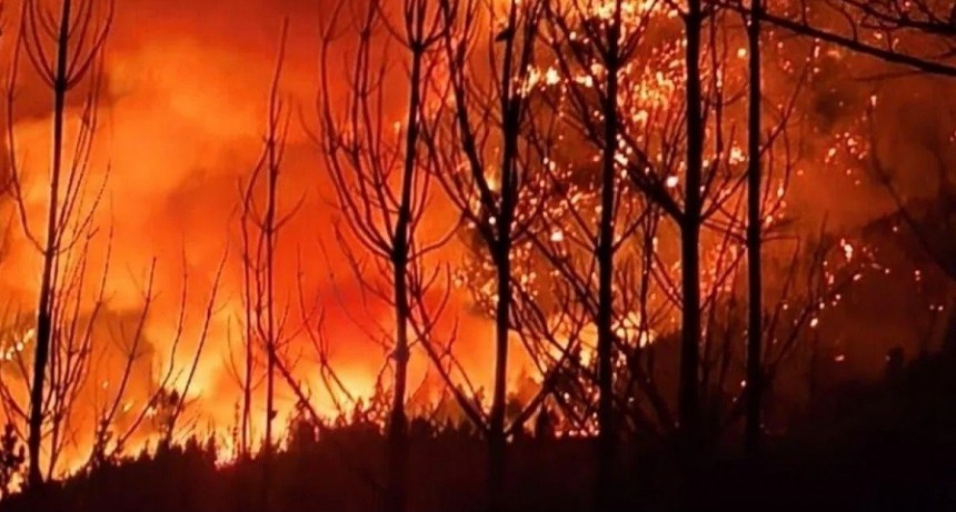 El Gobierno anunci&oacute; un endurecimiento de penas para quienes provoquen incendios forestales
