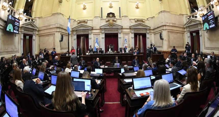 Senadores se garantizan otra suba salarial y sus dietas superar&aacute;n los $11 millones