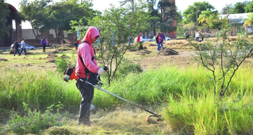 El Municipio intensifica operativos para erradicar basurales a cielo abierto