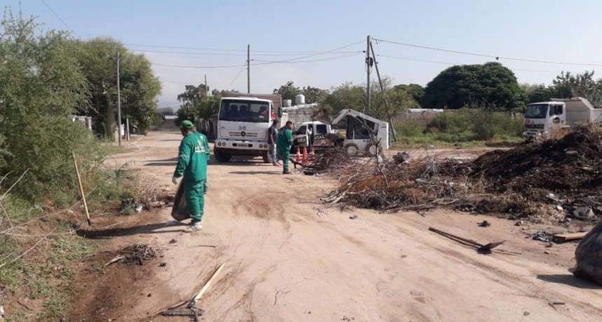  Manzanas Saludables: 