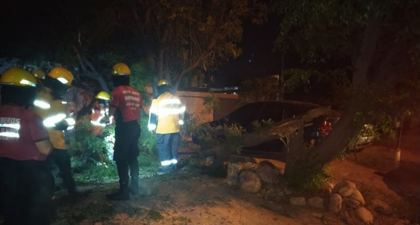 Salud no registró heridos de gravedad producto del fuerte viento