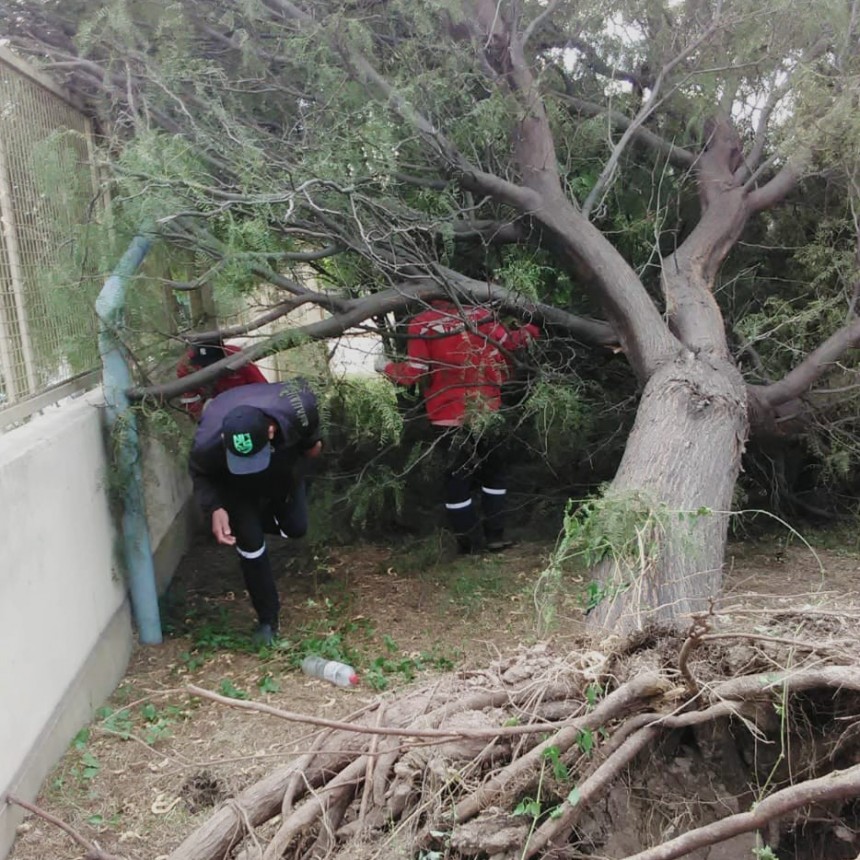 El Gobierno provincial informó sobre trabajos realizados para normalizar la situación luego del fuerte viento