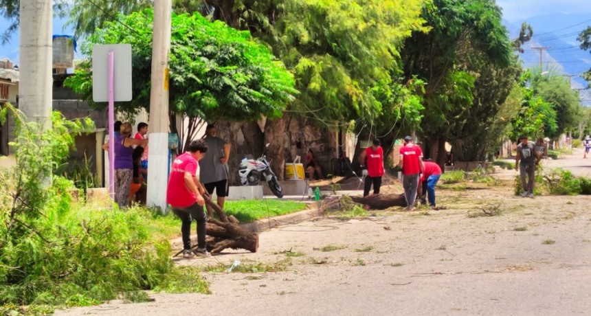 El COE trabaja para reestablecer servicios y brindar asistencia luego de la lluvia de anoche