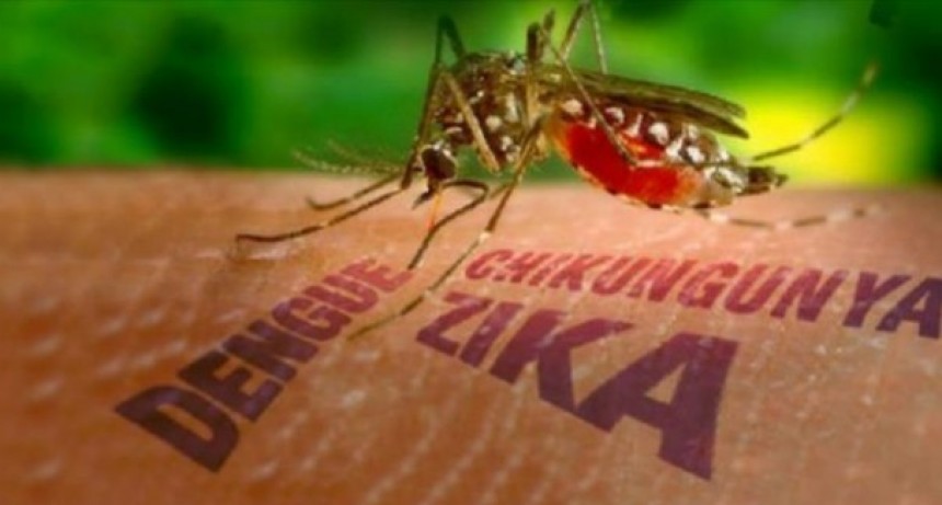 Detectan el primer caso de Chikungunya en Chaco