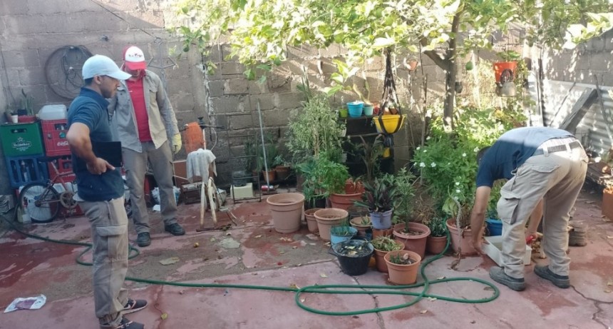 El gobierno provincial continúa trabajando para prevenir el dengue