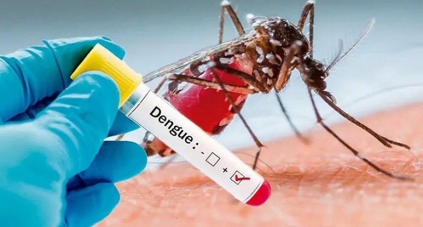 Especialistas reconocen menor incidencia del dengue, pero siguen recomendando la vacunación