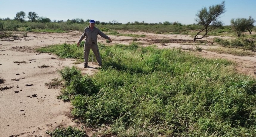 Se aplicó el plan experimental de medialunas contra la desertificación en Chepes con excelentes resultados