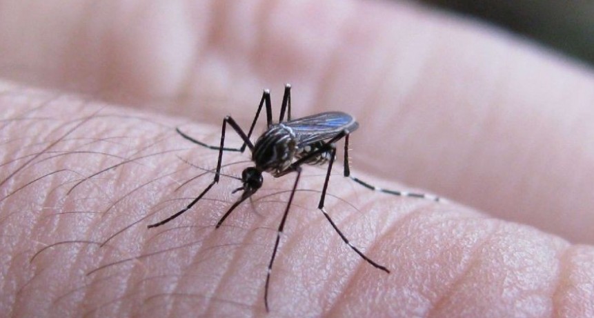 Dengue: Nuevo caso en Capital
