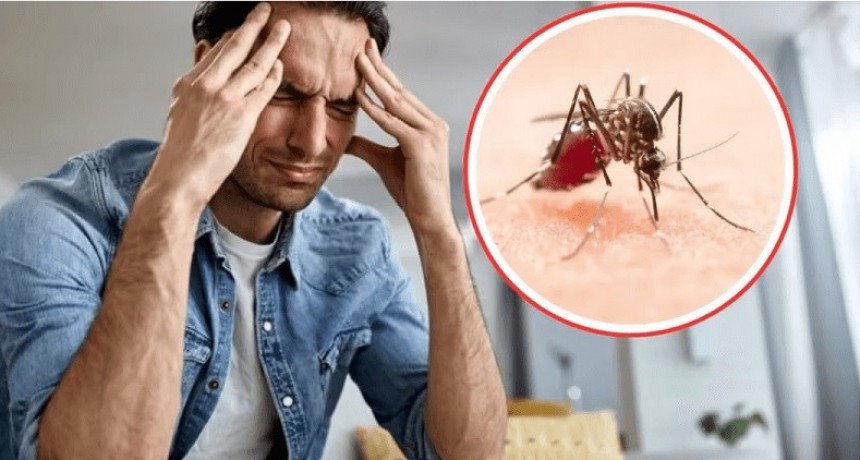 Solicitan a la población estar alertas frente a la sintomatología del dengue