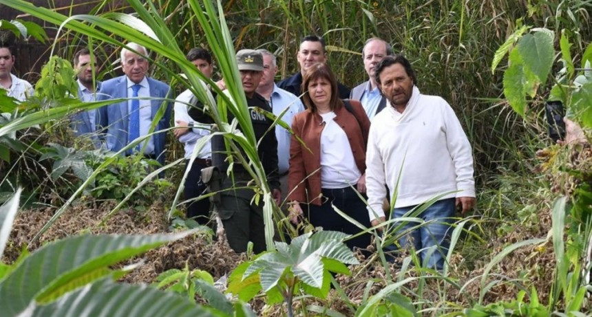 Ponen en marcha acciones del 