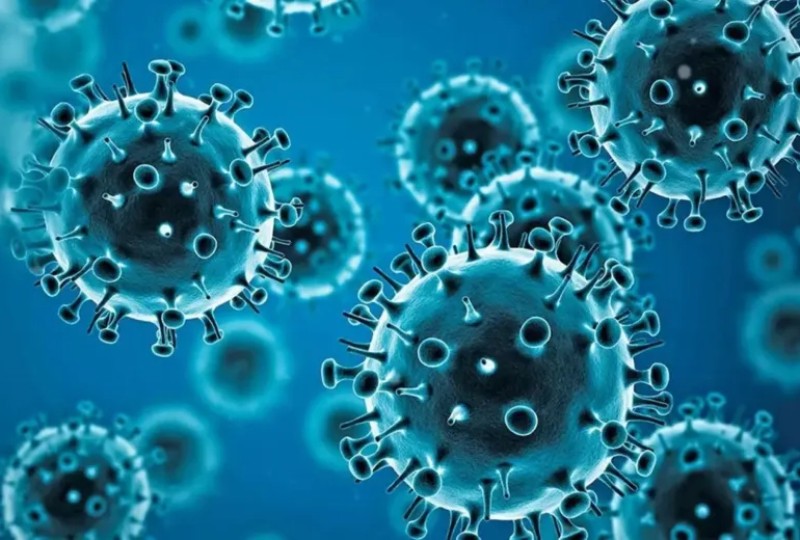 Detectan los primeros casos de la gripe H3N2 en Córdoba y Corrientes