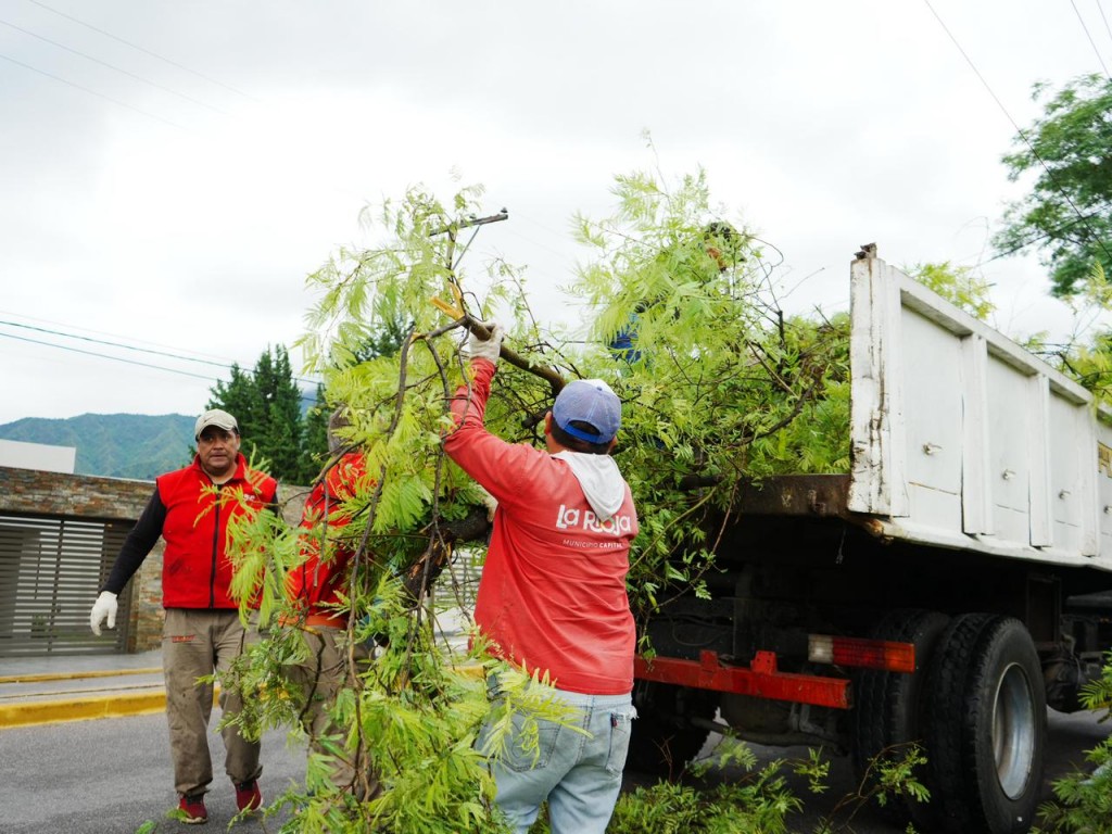 Municipio despliega tareas para recuperar la ciudad tras las lluvias