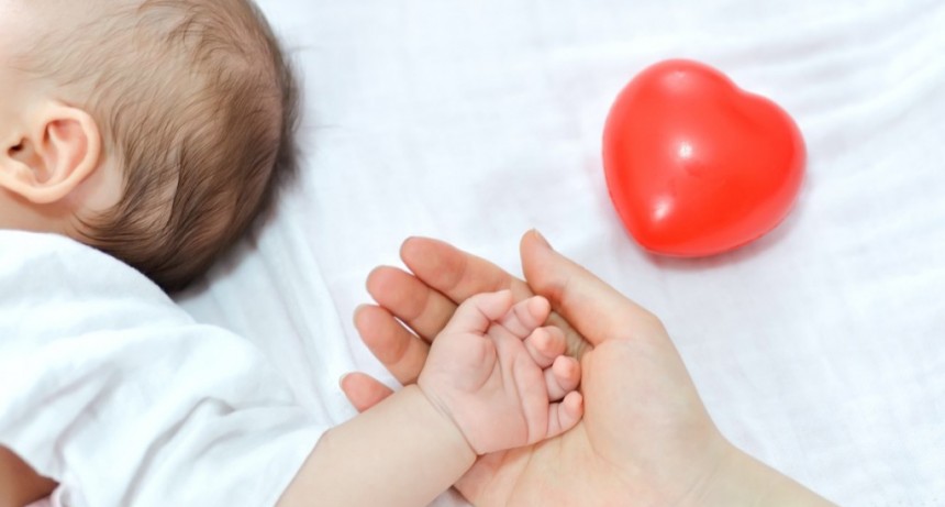 Denuncian que Milei desmanteló el Programa de Cardiopatías Congénitas