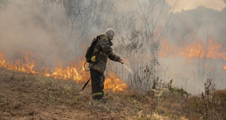 Tras miles de hectáreas incendiadas, el gobierno declaró la 