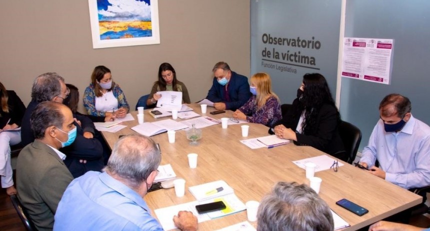 Preocupación de OVIDELAR por el número de denuncias por violencia de género en 2020  