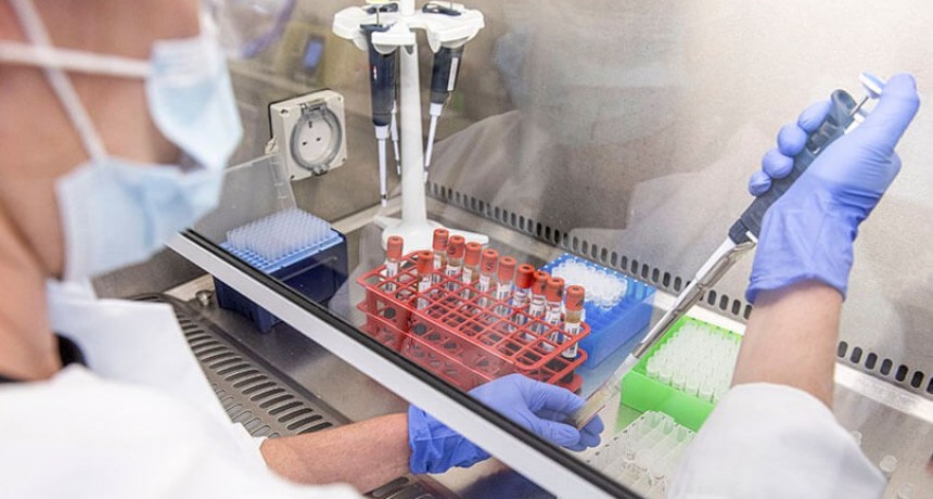 Acuerdo Covax: asignaron a la Argentina 2,2 millones de vacunas de Oxford y AstraZeneca