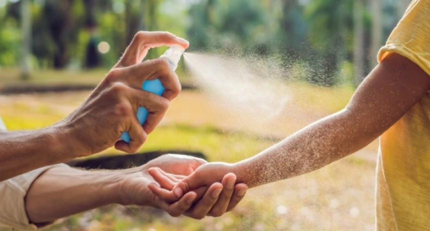 Solicitan extremar los cuidados para evitar la proliferación del Aedes aegypti