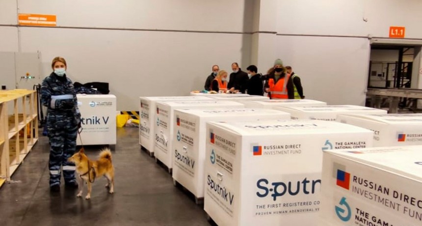 Salud lanzó una web para seguir en tiempo real la distribución de vacunas en todo el país