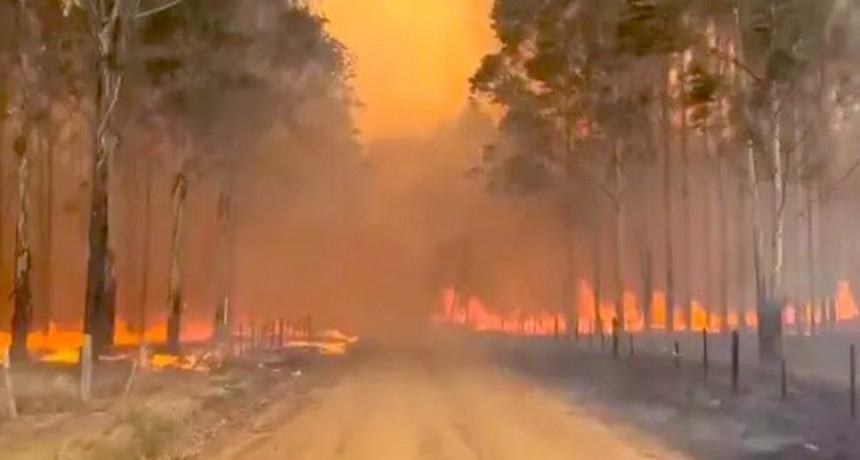 El Gobierno nacional lanzó una serie de medidas de emergencia por los incendios en Corrientes