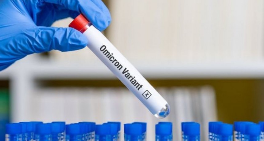 Reportan 16.950 nuevos contagios de coronavirus en la Argentina