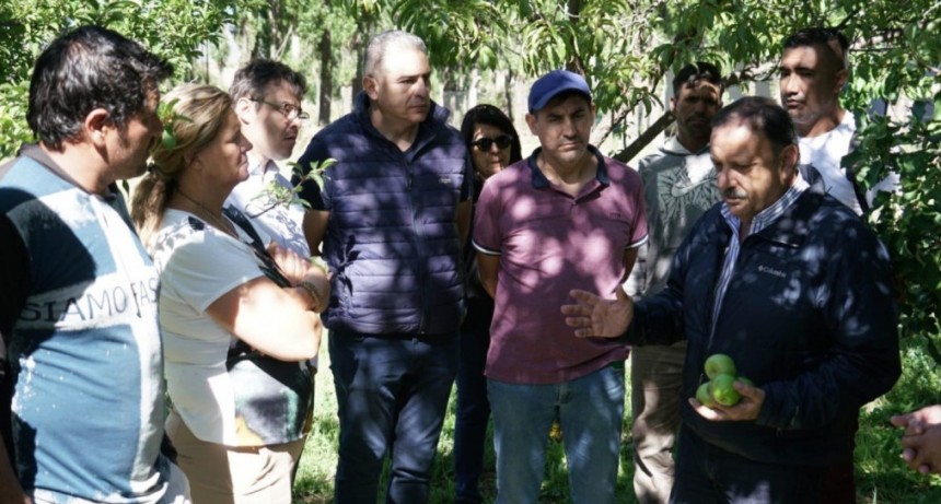  En Valle Hermoso, la Secretaria de Agricultura, creará una huerta familiar gigante