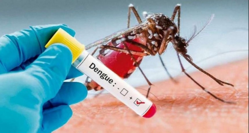 Llamativo aumento de casos de dengue y chikungunya en Argentina