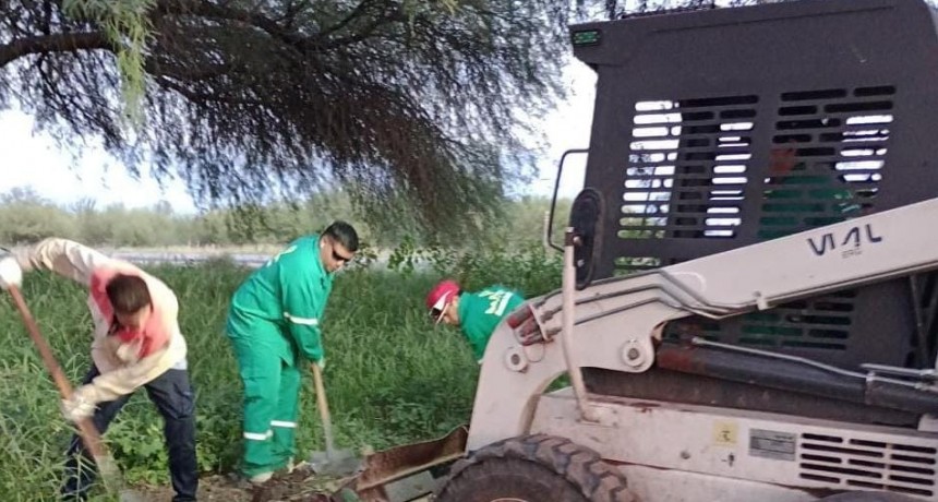 Manzanas Saludables: avanzan los operativos de prevención