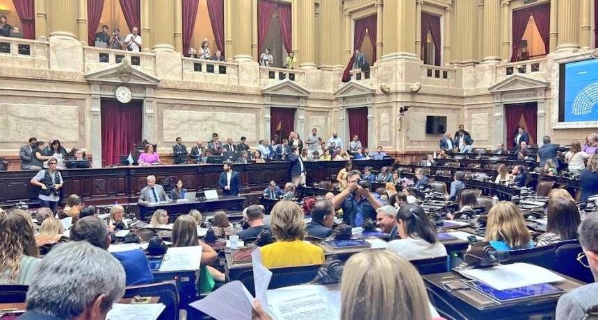 La Cámara de Diputados convirtió en ley el proyecto de moratoria previsional 