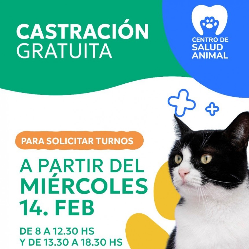 Arranca campaña de castración en la ciudad
