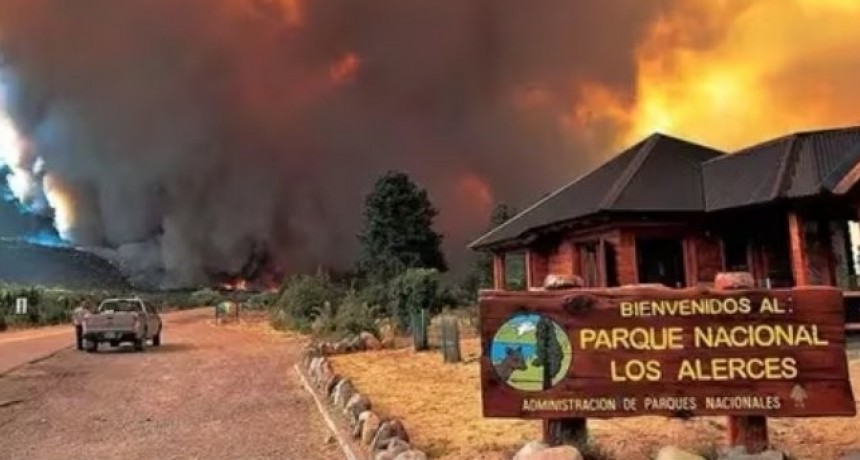 Incendio Parque Los Alerces: Ofrecen millonaria recompensa a quien aporte datos