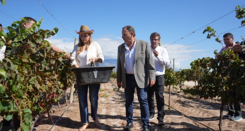   En Aminga, Quintela participó del inicio de la Vendimia 2024 