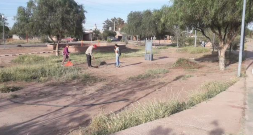 Rosario Vera Peñaloza: Despliegan operativos de limpieza en Chepes