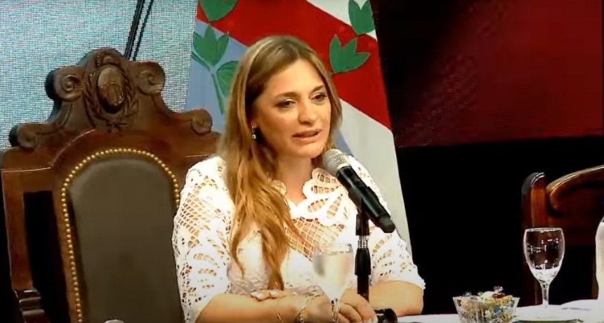 Vicegobernadores apoyaron a Torres en el conflicto con Milei