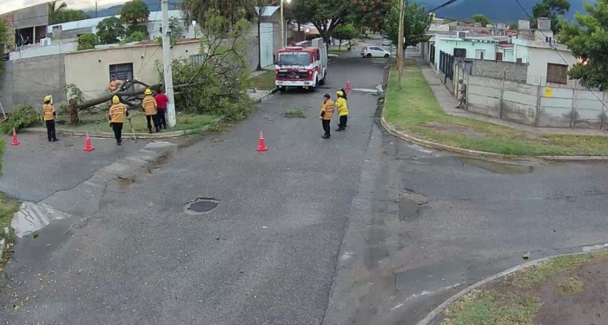 El COE informó sobre los departamentos afectados por las tormentas registradas en las ultimas horas 