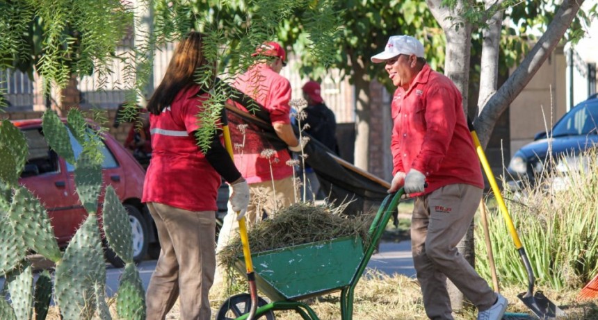 Realizan operativo integral de limpieza en zona sur
