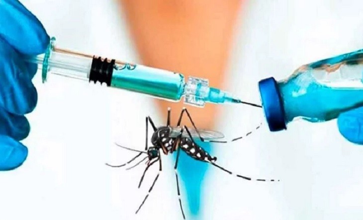 Gobierno amplía la vacunación del dengue hasta los 59 años