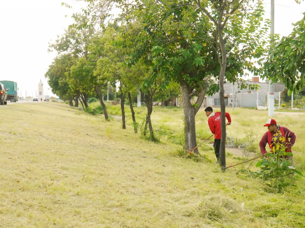 Profundizan el acondicionamiento de espacios verdes en la capital