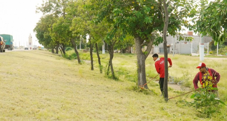 Profundizan el acondicionamiento de espacios verdes en la capital