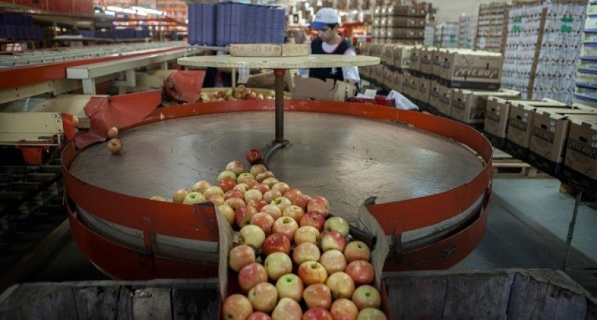 Argentina intenta reanudar el envío de peras y manzanas al Brasil