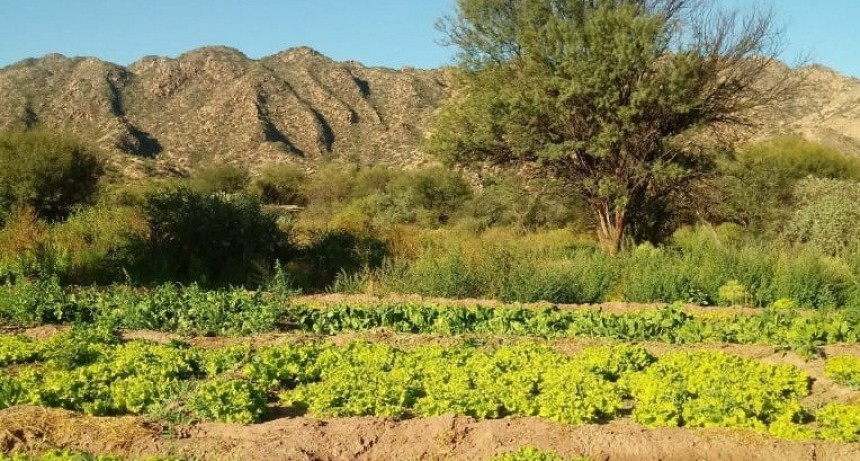 Proyecto de Huertas de montaña en La Rioja