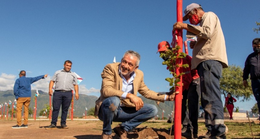 El gobierno provincial comenzó el Plan de Forestación en la ciudad 