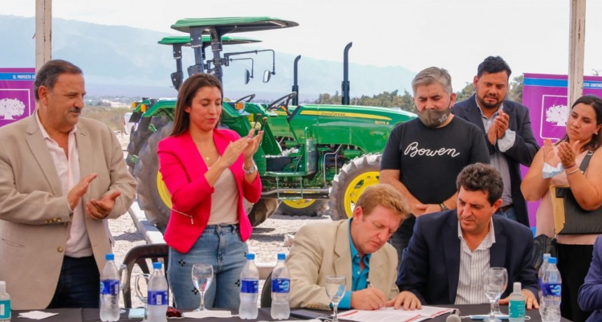 El gobierno provincial lanzó oficialmente la Cosecha de Aceituna variedad Arauco 