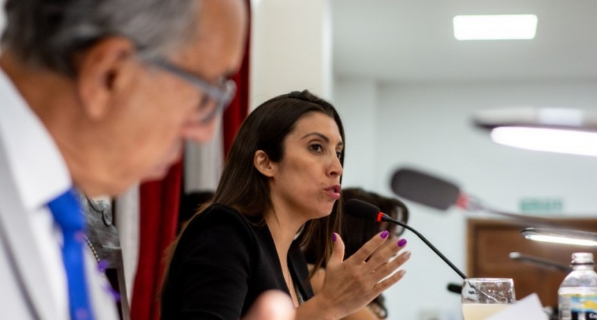 Legislatura autorizó financiación para Parque Solar en Arauco  