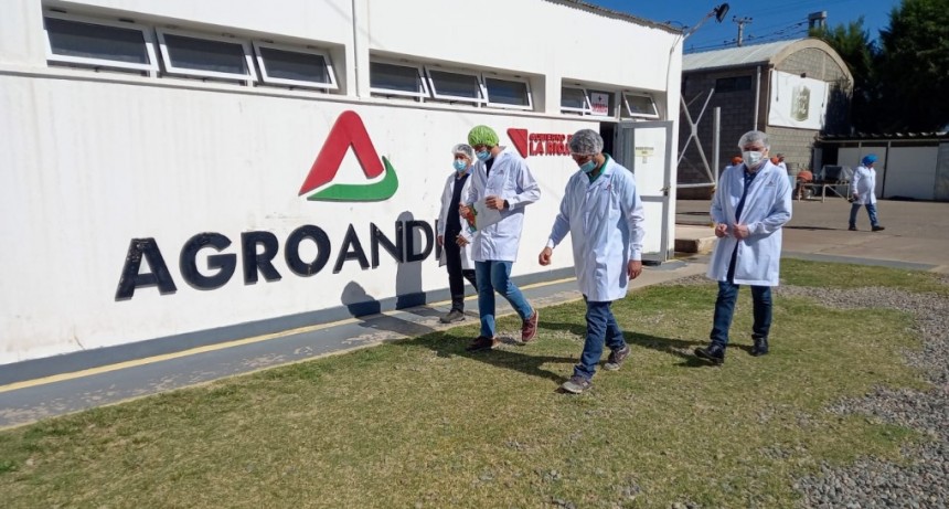  Medio Oriente y África importarán listas de Agroandina