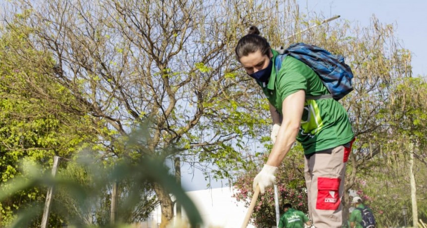Dengue: Un nuevo caso importado fue confirmado hoy en la provincia 