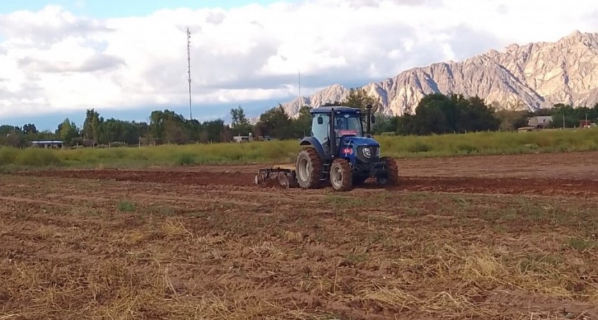 Productores preparan suelo para la temporada de invierno