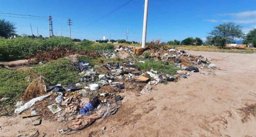 Vecina indignada por microbasurales en zona sur