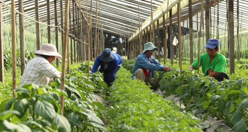 El Gobierno nacional cerrará el Instituto de Agricultura Familiar