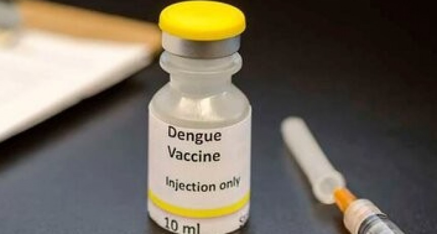 Debido a la cantidad de casos de dengue, presentaron un proyecto de ley para que la vacuna sea gratuita