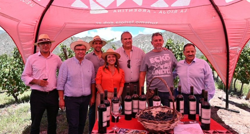 Se inició oficialmente la Vendimia 2025 en La Rioja